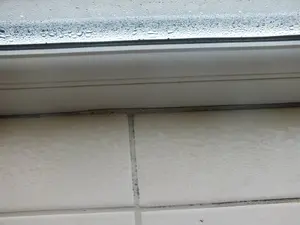 Understanding the dew point definition can help you avoid condensation and black mould in your home.