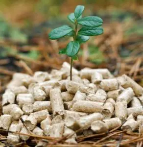 Understanding the definition of biomass for heating your home is essential if you want to cut your ties to fossil fuels. Use my FREE guide to get started.