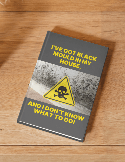 mould-ebook-cover-mockup