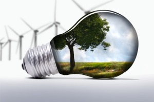 energy efficient light bulbs energy efficient light bulbs