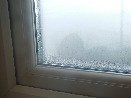 What is condensation in buildings